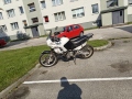 Pilt