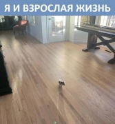 ___________.jpg