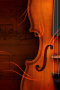 01386_violin_320x480.jpg