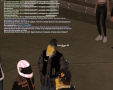 gallery11.jpg