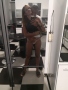 Caline_zeaiter_eE_IMG_20190814_150005.jpg