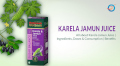 Baidyanath_karela_juice_for_diabetes.jpg