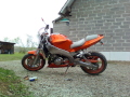 Ratas