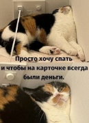 Прикольные картинки -=5=- (12783) / 