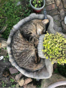 Прикольные картинки -=5=- (12799) / 