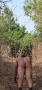 arjun_indian_gay.jpg