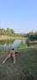 arjun_indian_desi_gay.jpg