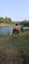 arjun_gay.jpg