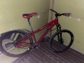Pilt