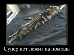 Прикольные картинки -=5=- (13136) / 