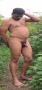 desi_gay_arjun.jpg