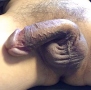 IMG_4060.jpeg