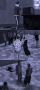 nothingbutproblems.png