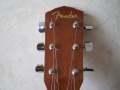 Fender DG-4
