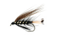 Wet Fly