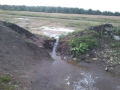 dirt