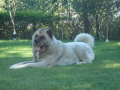 DSC00508.JPG