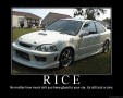 ricer.jpg