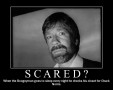 Scared-chucknorris.jpg