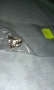 IMAG0414.jpg