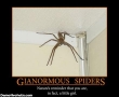 giantspidersmenintogirlbr0.jpg