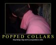 picoday_poppedcollars.jpg