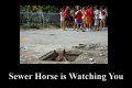 sewer_horse1.jpg