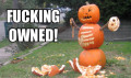 pumpkin_owned.jpg