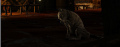 daggerfall2015.PNG