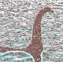 LochNess01_W_01.jpg