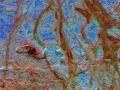 Europa_01_W_MM_03.jpg